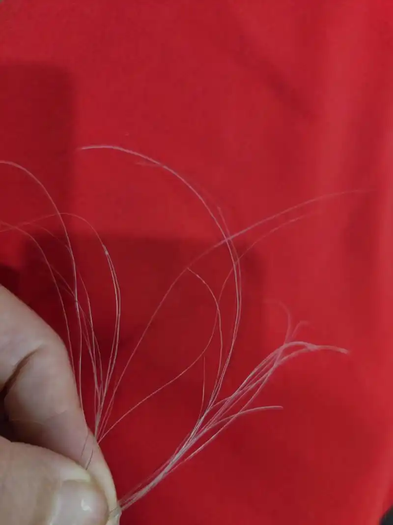 女儿给我拔的白发.她安慰我说,别伤心,20年的她女儿也会给她拔白发的.