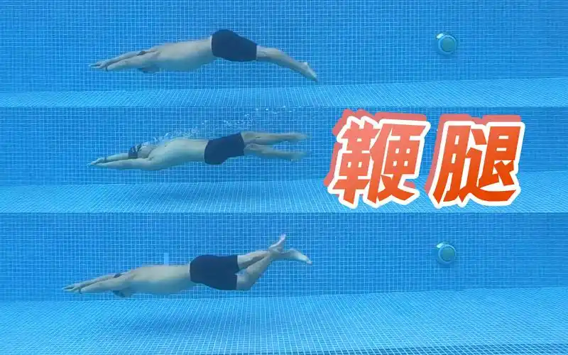 两个动作,搞懂自由泳,仰泳和蝶泳的腿部动作|梦觉教游泳-莉莉liliplay