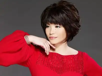 盘点华语乐坛最动人的那些好声音