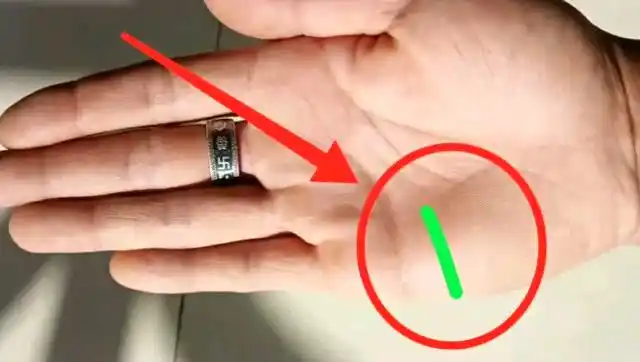 手中有反抗线的人运气会好吗