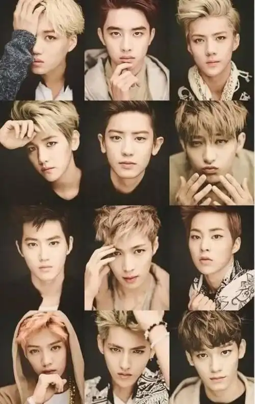 exo成员资料简介12人年龄顺序