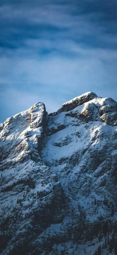 壁纸 桌面 660_1431 竖版 竖屏 手机