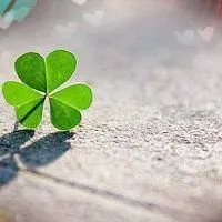 幸运草头像图片大全【点击鼠标右键下载】