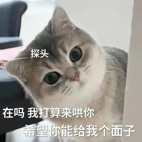 精选表情包小猫咪觉得很赞拿图点赞吱声