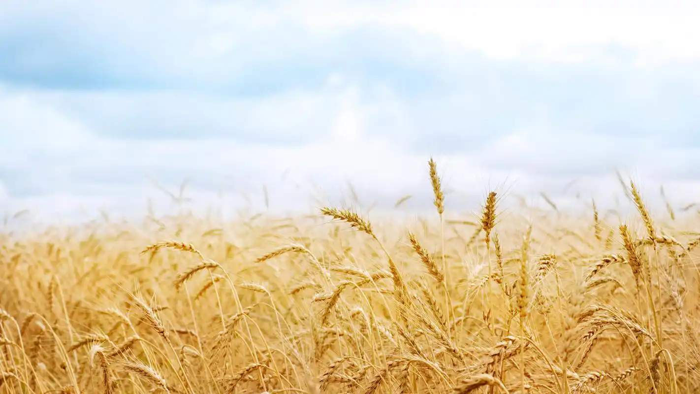 终身成长透过成长型思维来看两性关系