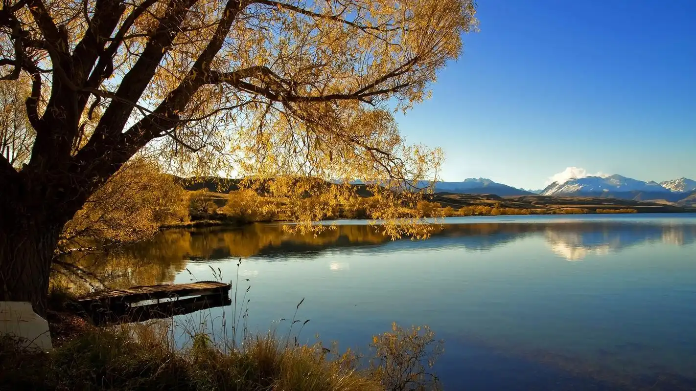 秋季(autumn,fall)是一年四季之第三季,是由夏季到冬季的过渡季节,阴
