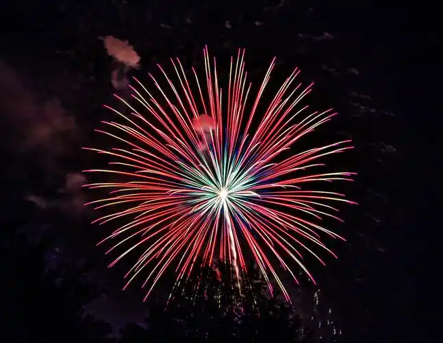 图片大全 其他类别 夜空中美丽的烟花图片 > 夜空中美丽的烟花图片 第