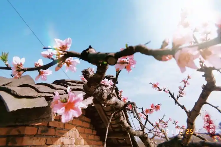 有什么壁纸能让ipad横屏和竖屏都合适