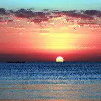 男头像图片大全70后【点击鼠标右键下载】