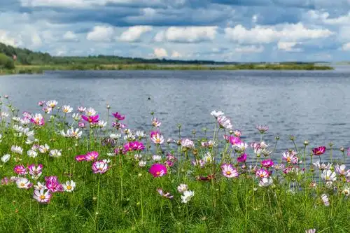 呼伦贝尔大草原,我的心爱我的思恋