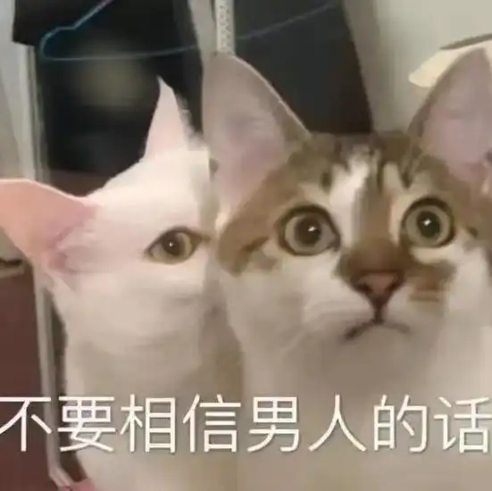 不要相信男人的话猫猫表情包男人猫猫表情