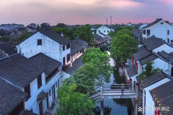 江南水乡,素有繁华胜地之美誉,而在江南的四大古镇中,黎里镇独具一格