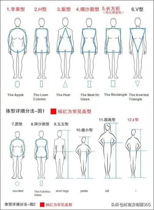 女性身材分12种你是哪一种
