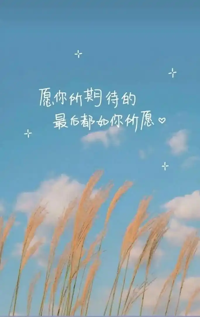 励志  手机壁纸 - 抖音