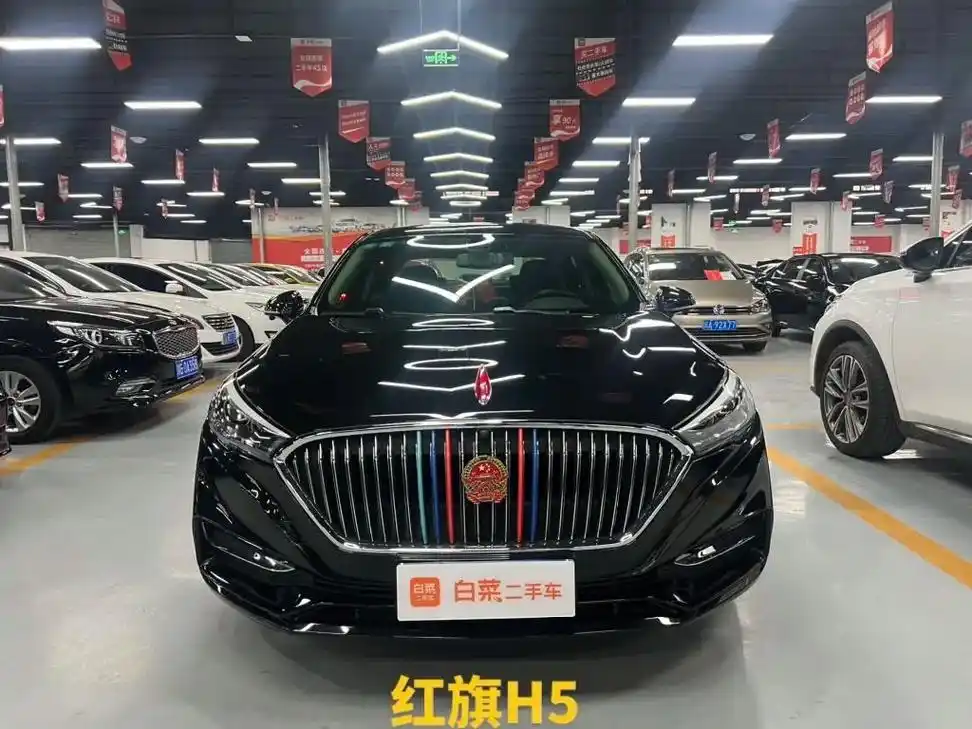 红旗h5 2019款 30td 型动版 2020.2上 - 抖音