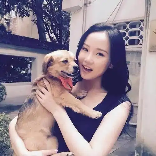 歌曲|常石磊|high歌_网易订阅