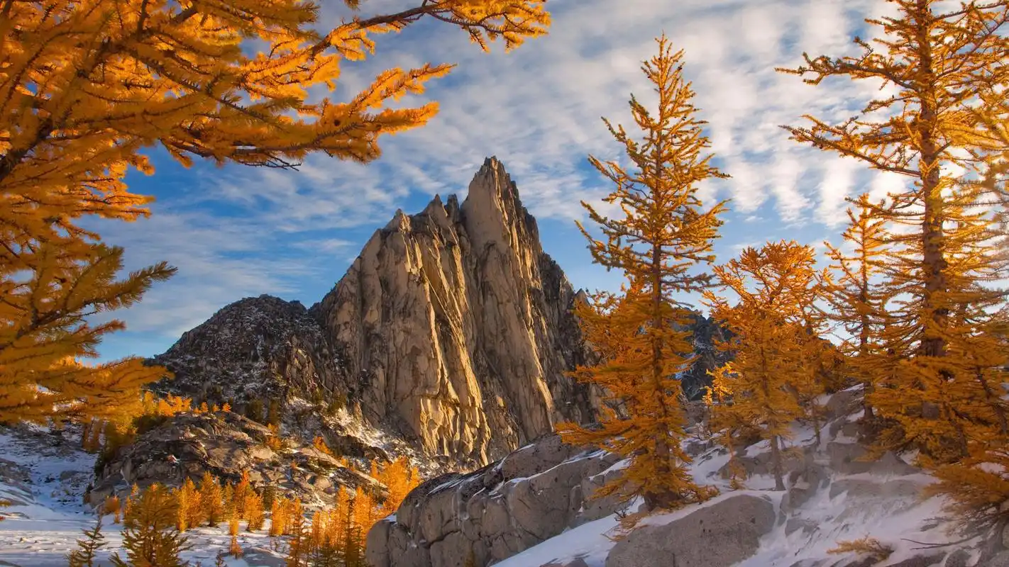 自然风景高清电脑桌面壁纸图片高清大图预览1920x1080_风景壁纸下载