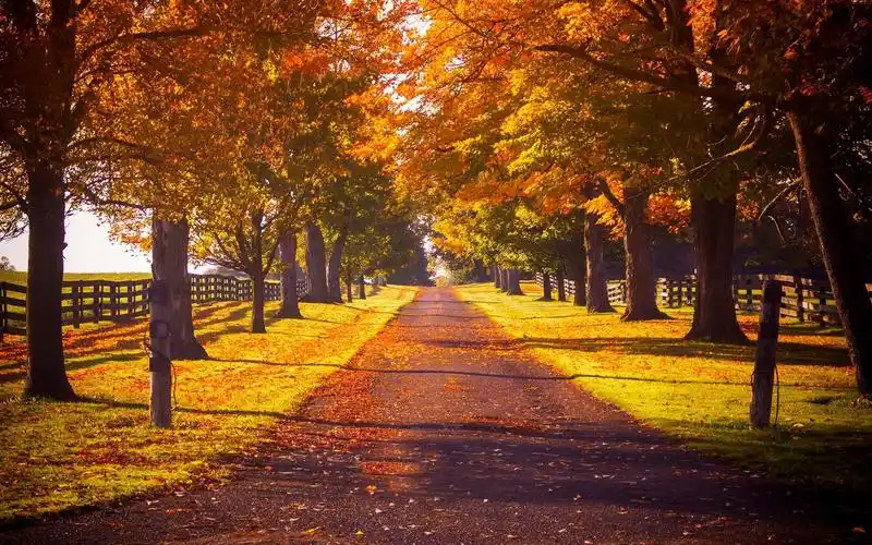 深秋风光唯美桌面高清壁纸