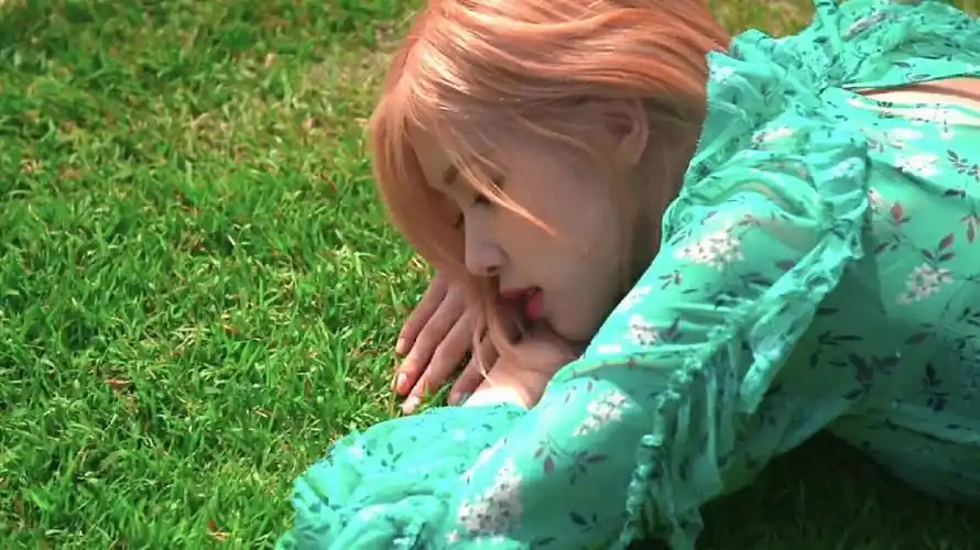 朴彩英rose高清壁纸8