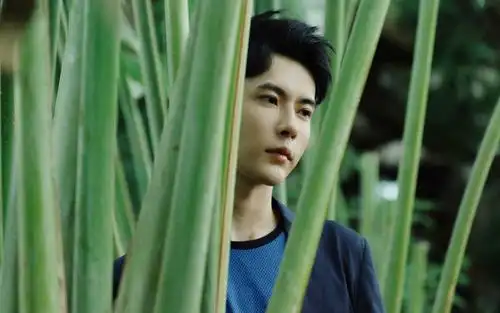 帅气花美男于朦胧