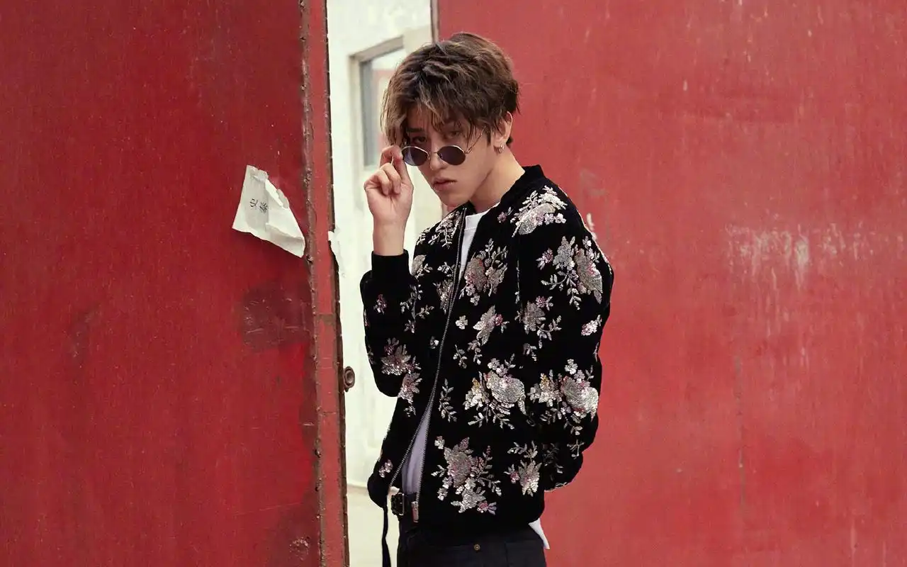 粉丝们影响着一个明星的崛起与倒台,有着千丝万缕的