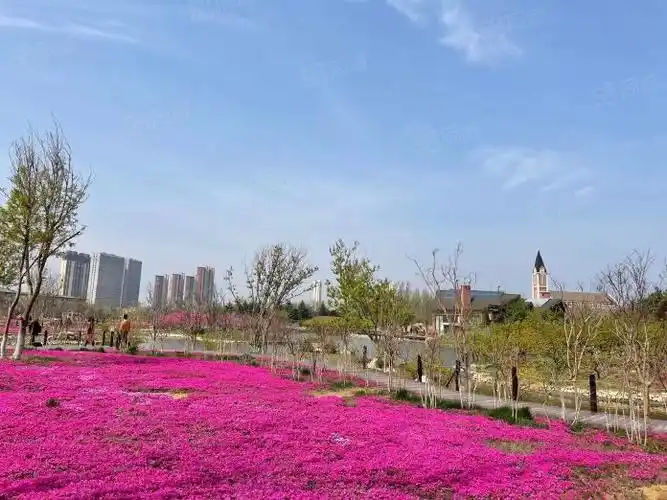 牟平龙湖紫云台10精装拎包入住可