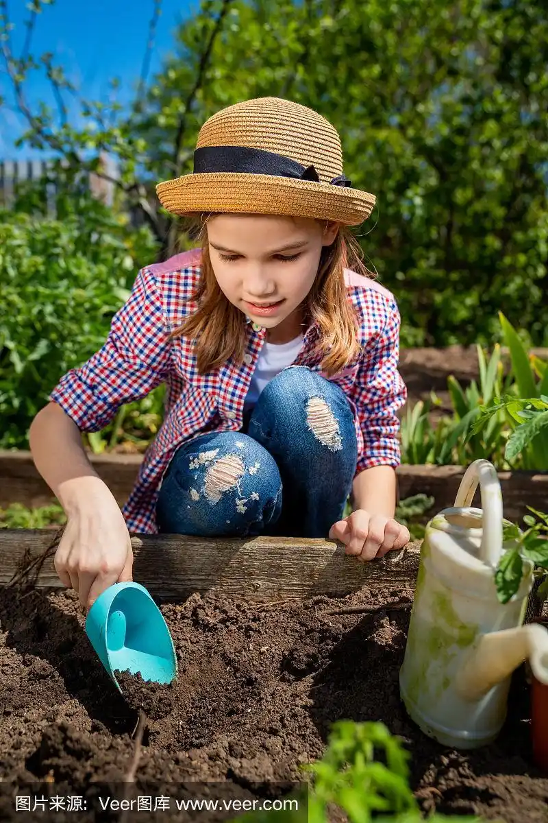 小女孩在帽子里种幼苗