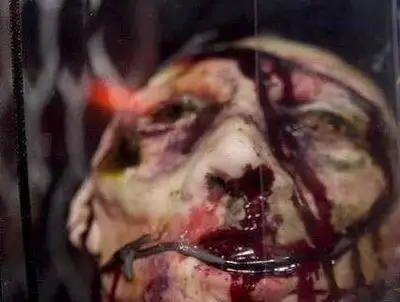 伦敦有一家重口味面包店,该店成品主要是展示各种人体器官,各种血腥