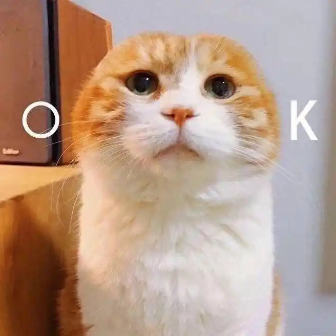 热门表情包图片:一组搞笑火爆的