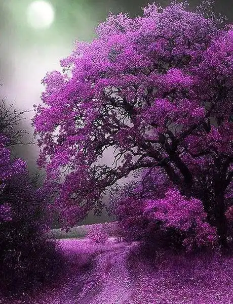 紫色系之美~ #美景