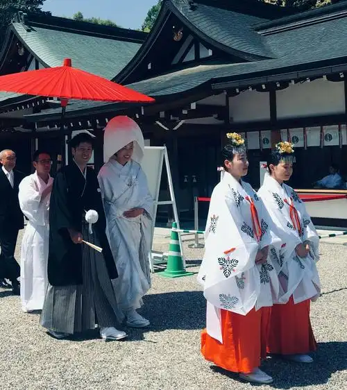 神社办婚礼,和服"白无垢".宫女前引路,红伞遮阳够.