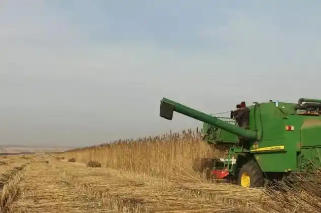 全球花式汉麻收割机盘点