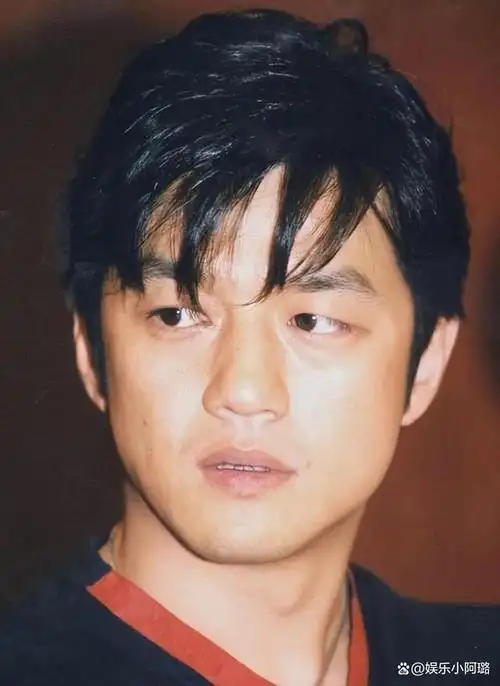 王菲11年前的选择是对的,二婚仅两年,李亚鹏的"老毛病"又犯了