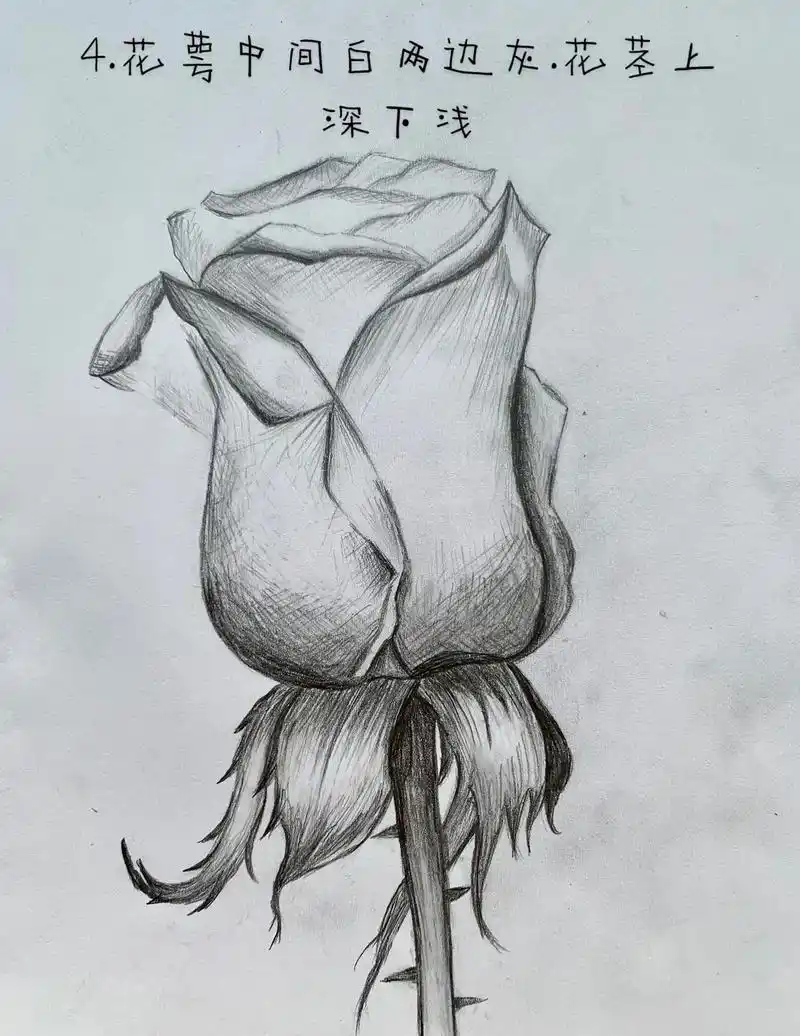 素描玫瑰的画法.画画能够培养孩子的动手能力和思维能力,耐心. - 抖音