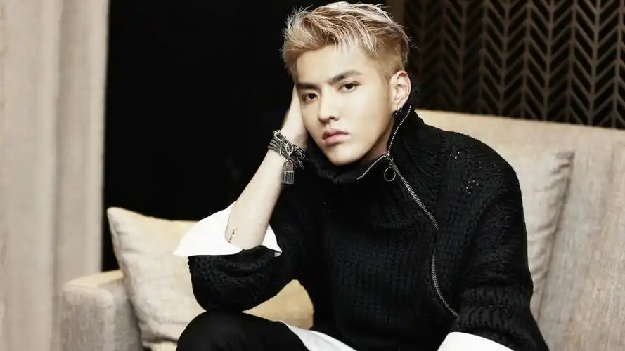 北京高院工作报告点名吴亦凡案出狱四十多岁公司拖欠税款527万