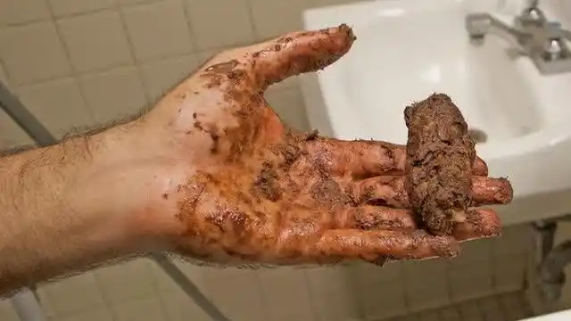 在浴室手上拿一坨屎,恶搞自己朋友!你不觉得恶心吗?
