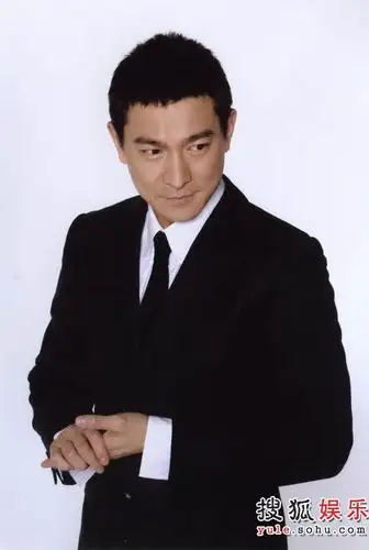 组图:刘德华精彩写真