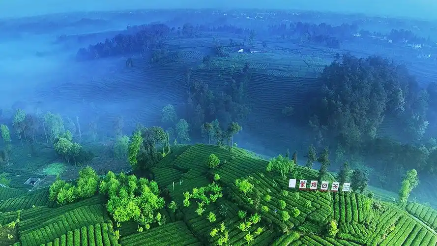 县蒙阳镇蒙顶山位于四川省雅安市境内,是四川首批省级风景名胜区之一