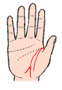 手相图解:生命线