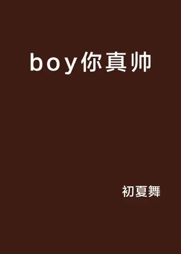 boy你真帅
