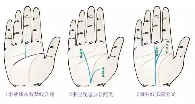 来看手相图解事业线!