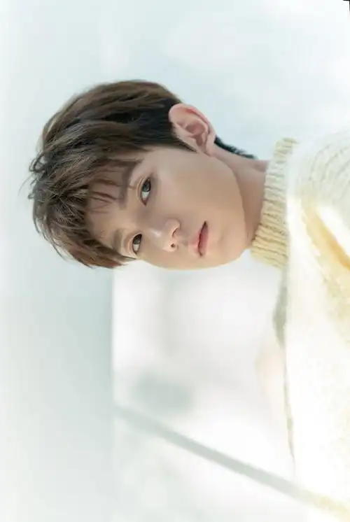 王源2024龙行绛气