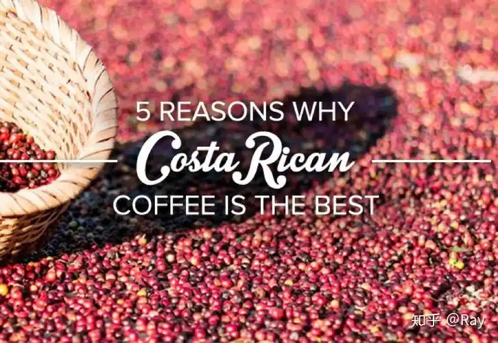 对于哥斯达黎加,我们之前说过,这是个对咖啡极度控制的国家,甚至将