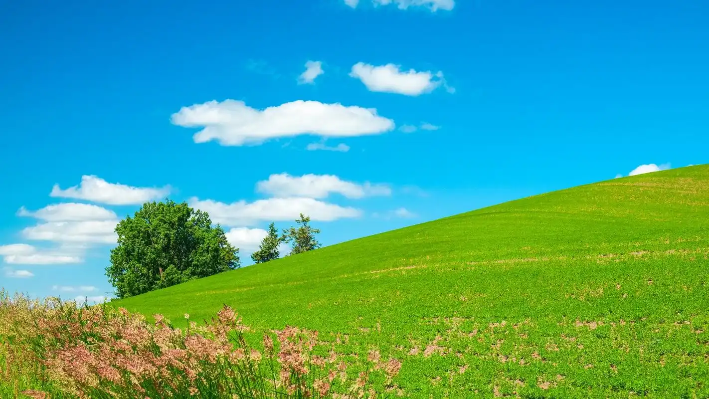 蓝天绿草地清新护眼高清桌面壁纸下载