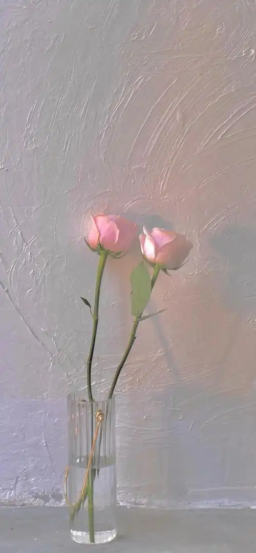 星空背景图:一生所有,干净自由