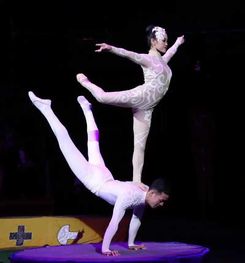 《情满丝路》杂技武术专场演出在蒙古国首都上演(3)