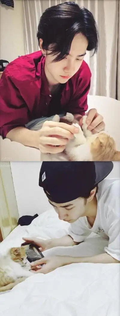 王一博女友视角