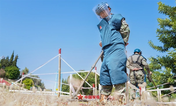 今天,为你郑重介绍我的"蓝盔"朋友!