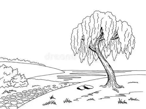 柳树简笔画柳树简笔画怎么画水墨黑白国画柳树风景柳树简笔画