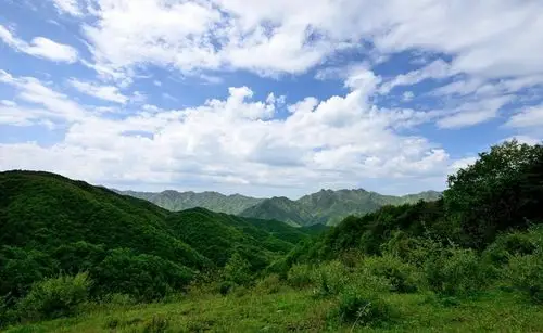 【绿营☆等高线】大美蓝田隐世美景—流峪高山草甸田园牧场(22-23号